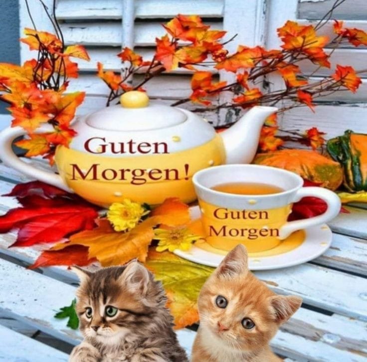 420419440_1403508767710148_2336400736755530205_n