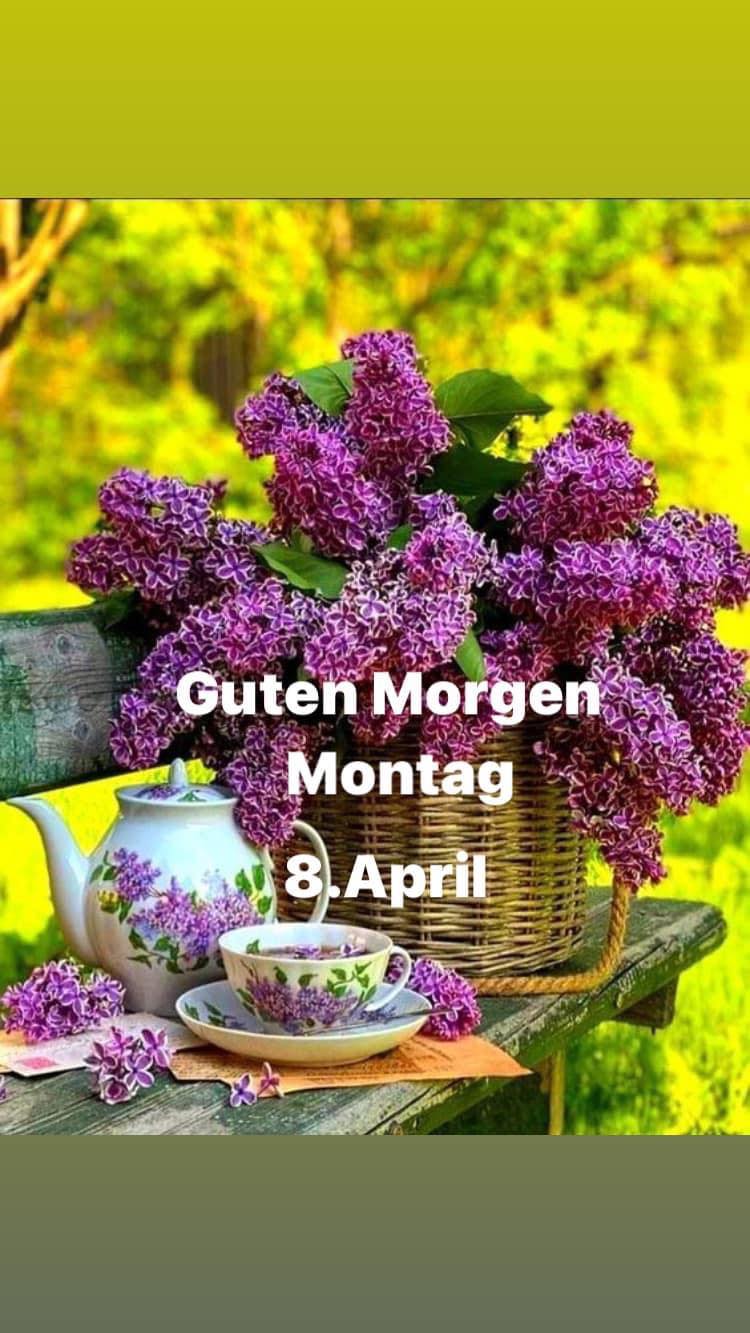 420690716_735920478712749_4353676985151512559_n (2)