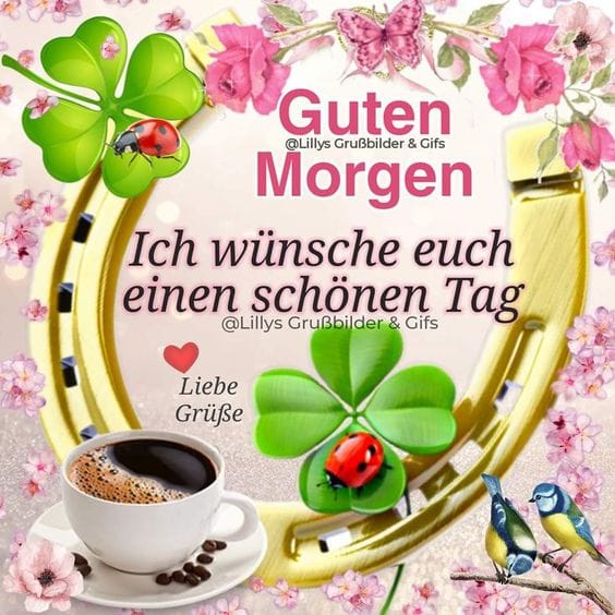 421082244_1510995309828235_4056718669965056382_n