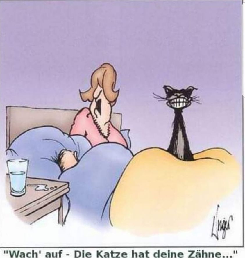 421223497_393388266546837_4801431639974784064_n