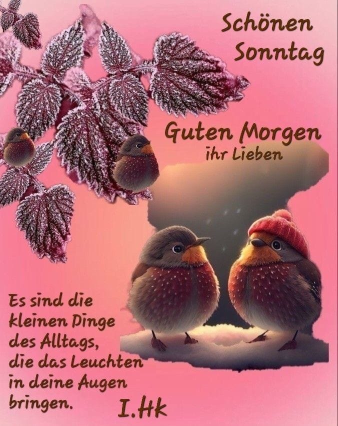 421274371_2319103648299342_4050998935060472901_n (1).jpg 2