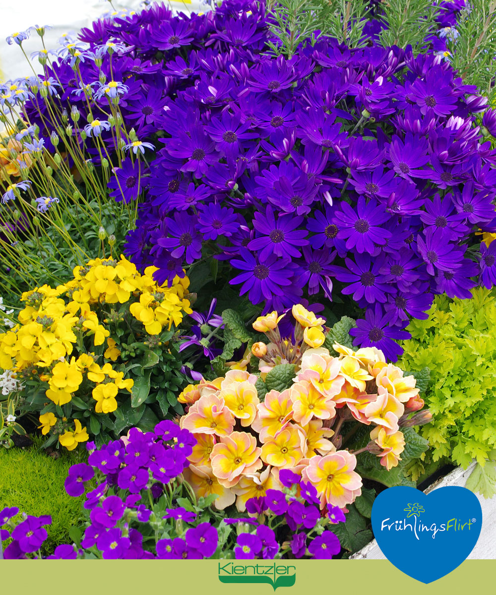 421948255_828248872438996_3355900111744714964_n