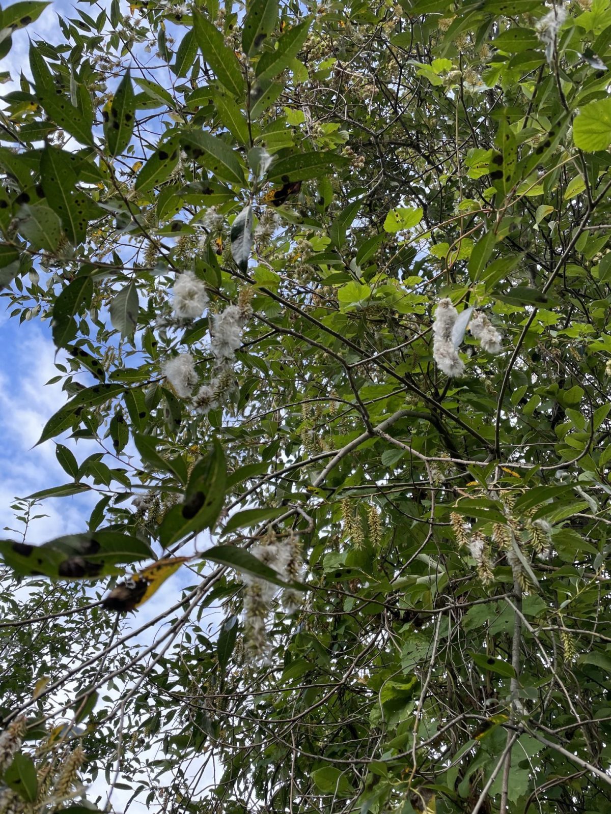 4228721F-3FAF-44AE-A8B4-36C478F4EA53