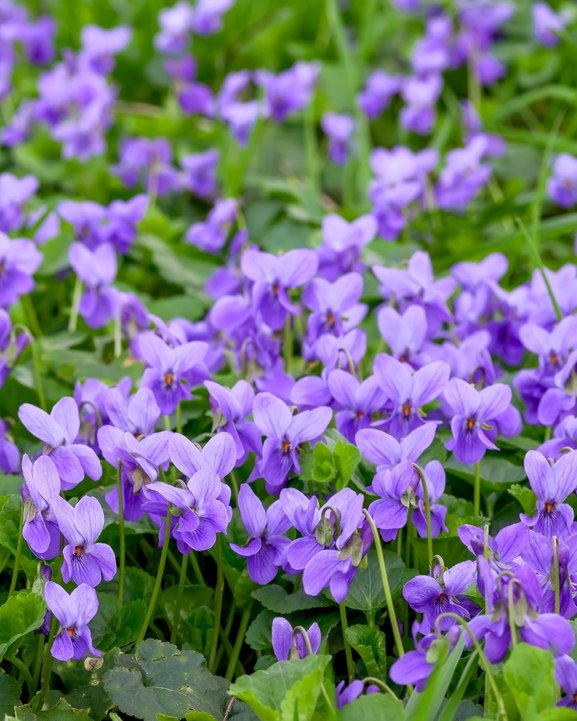 424881378_823449446491097_7697017834893638099_n