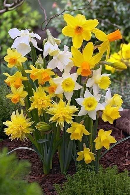 425547494_1612613596210671_5689950154869449718_n