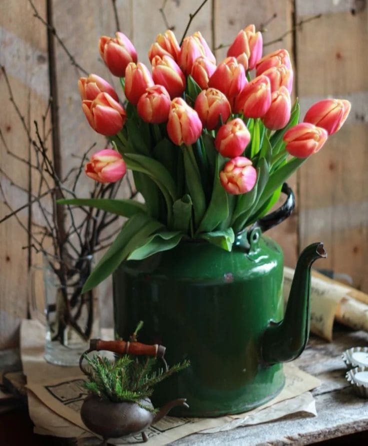 428602802_809446027891306_935294789574780276_n