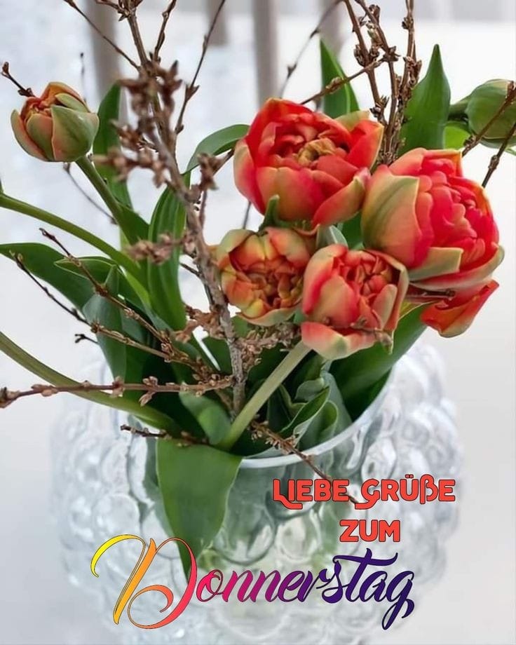 428604346_943049164163633_4489318951293767541_n