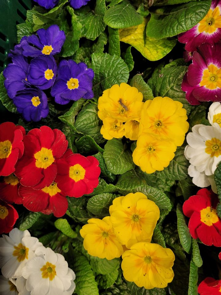 428635280_1561031911383039_966017084615277932_n