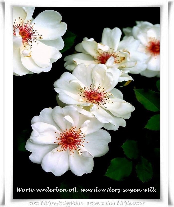 428647011_793157036172098_3832412763065172059_n