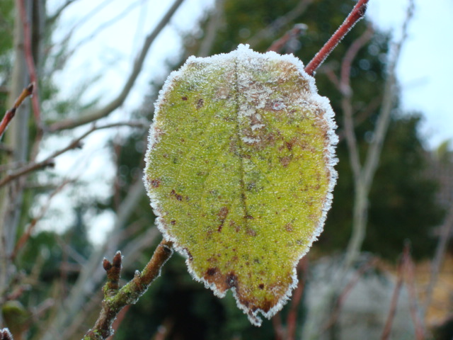 4293177E-C765-4B87-9AAF-46A59A135568