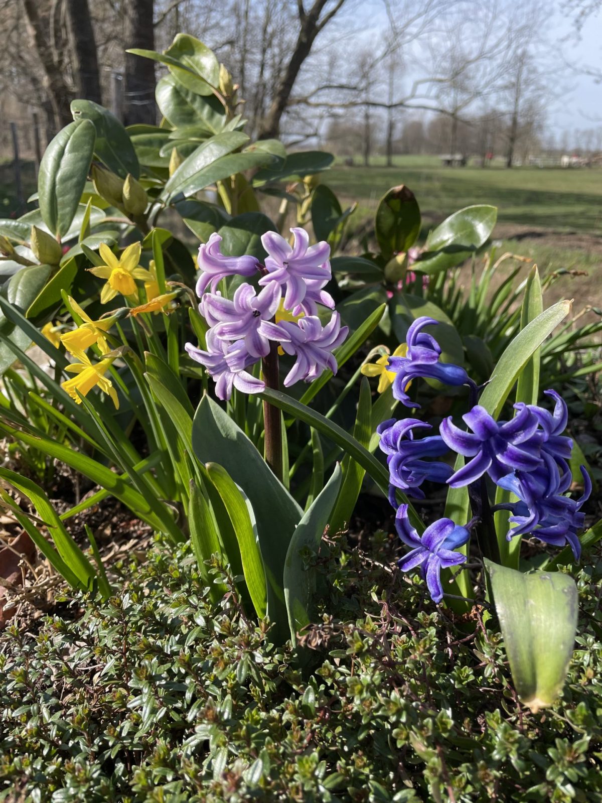 42DE7341-76DD-4327-A64C-14076693ADEE