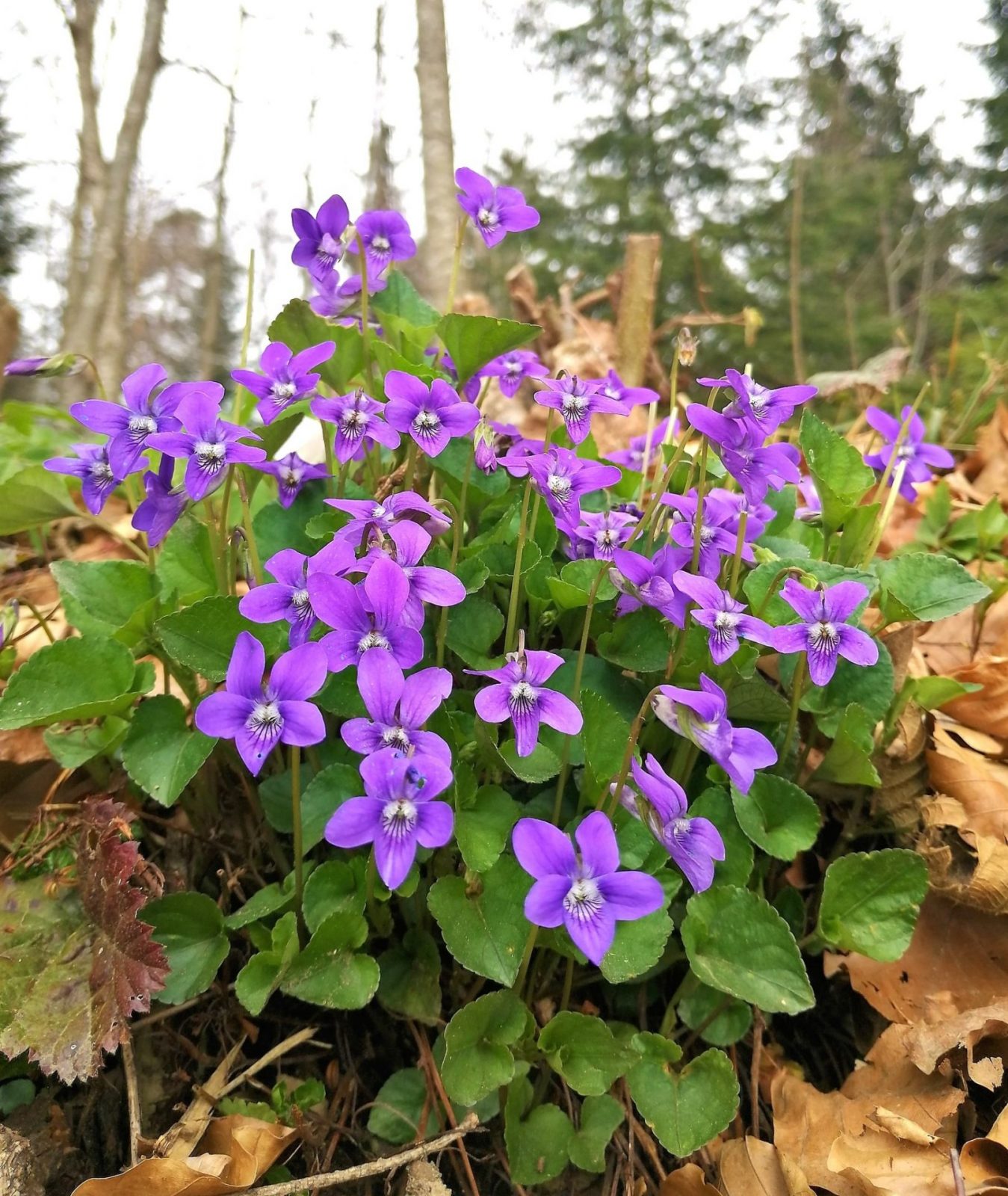 430609496_1021259089471966_54978688616147213_n