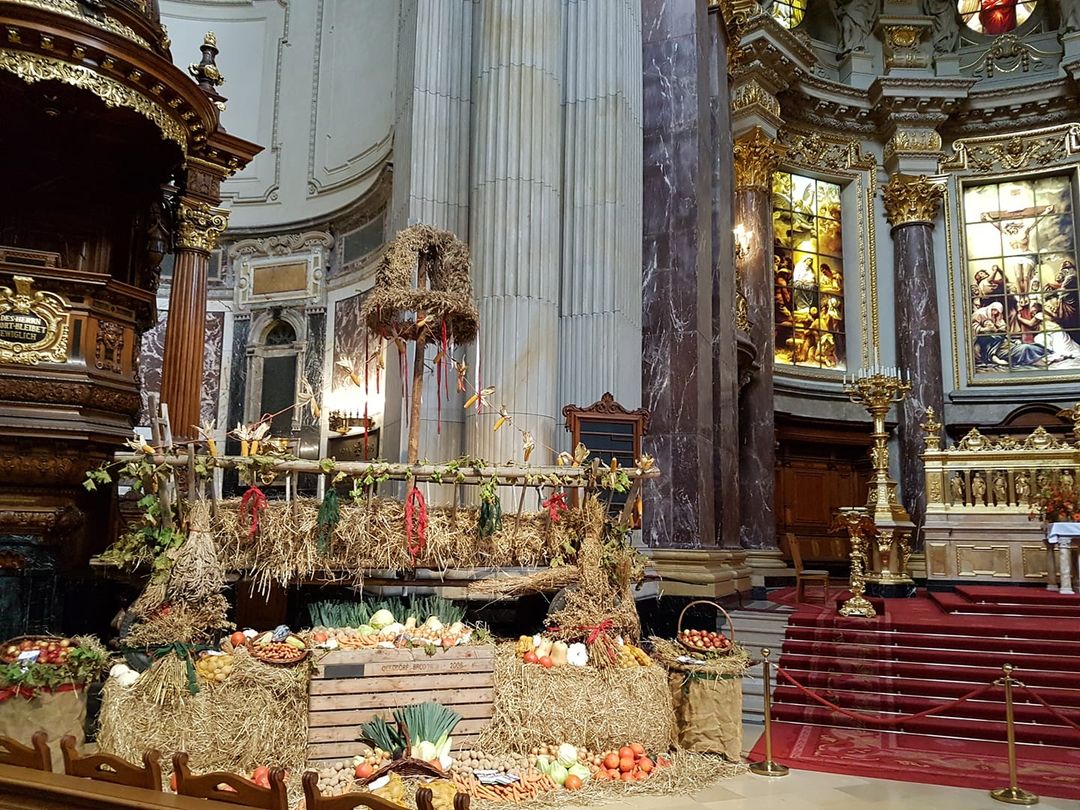 43070517_1982726261789257_8919328991278530560_n