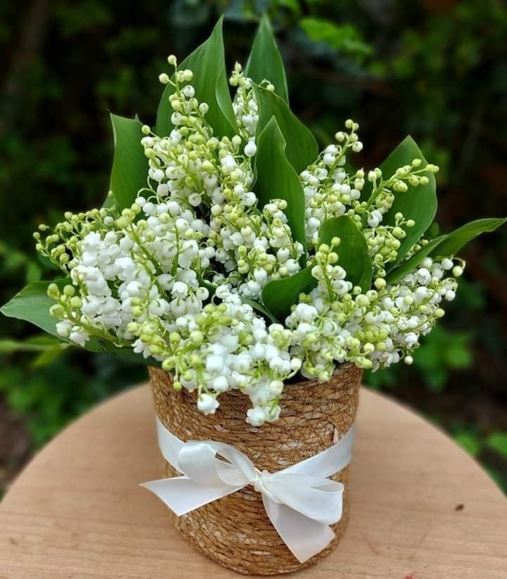 431137653_910605444402324_4905599355075824830_n