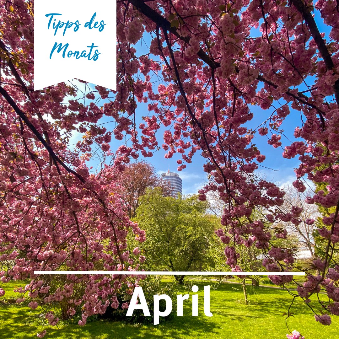 431428093_829838025838669_87362284434929885_n