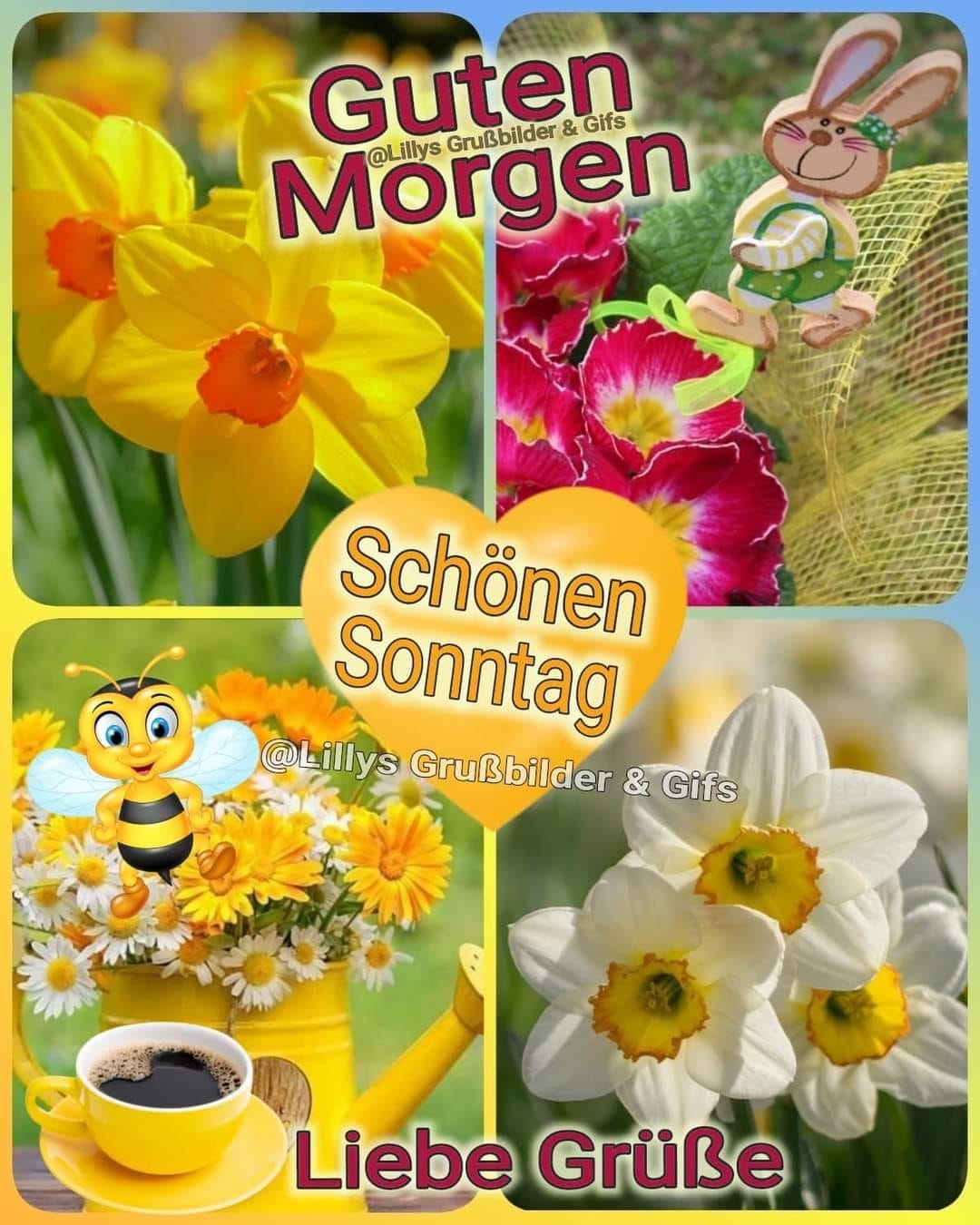 431443497_2106290313062653_4156561086693688259_n