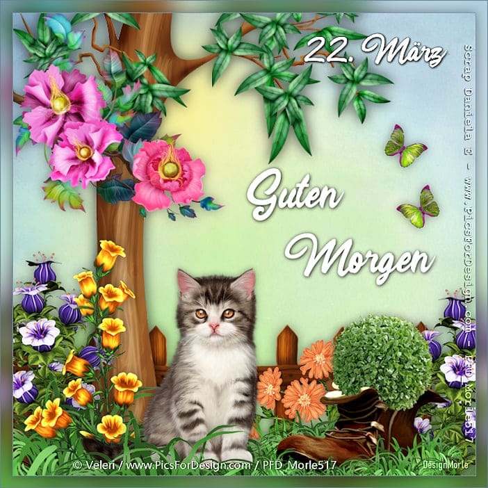 431976261_7348378631920315_7107966734087360646_n (2)