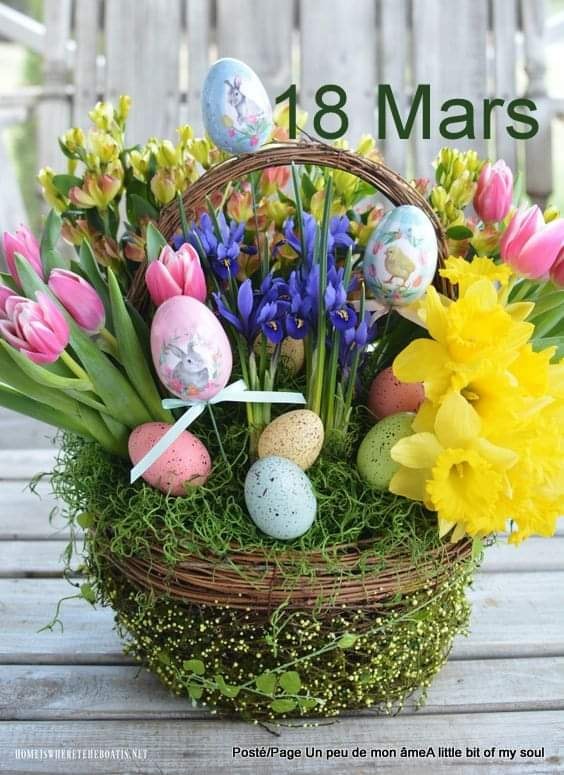 432058628_725499876400400_2584992166023135145_n (2)