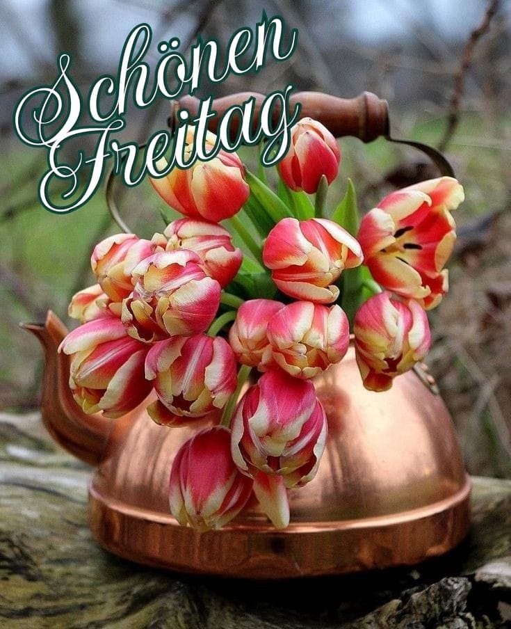 432347984_935135124919274_8577376002383321084_n