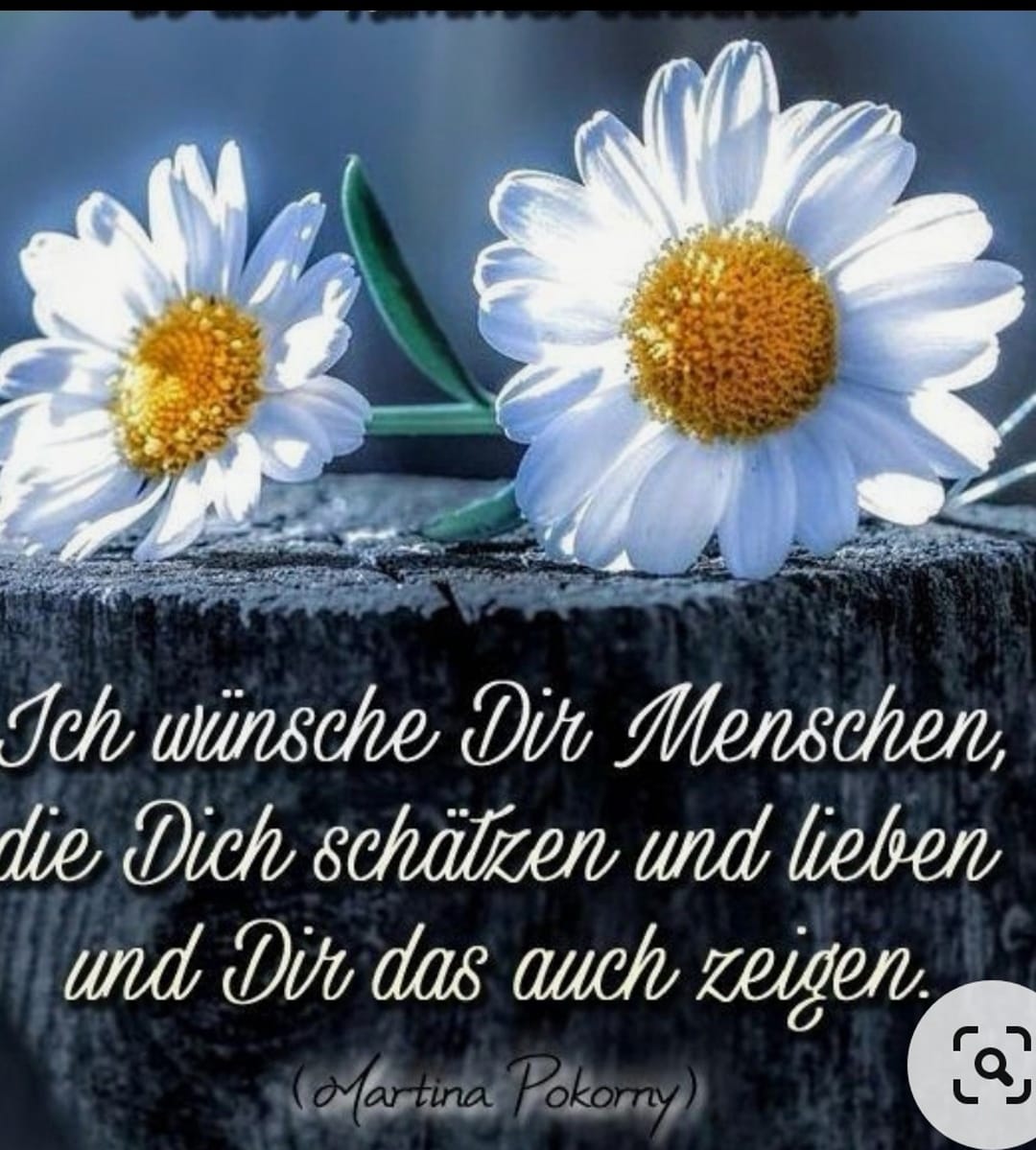 432350831_122130428222162795_8213286834086635012_n