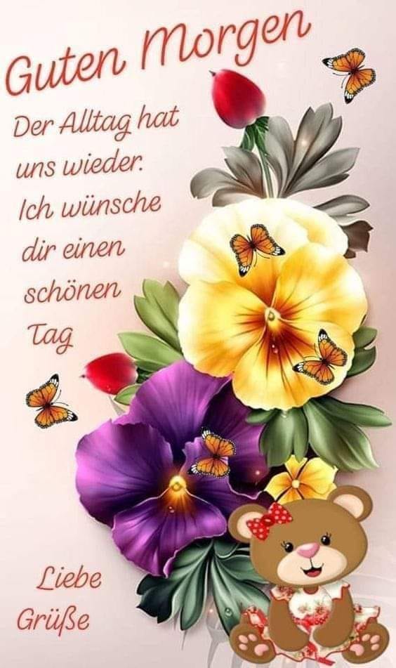 433890057_389068057304376_5359581691191528562_n