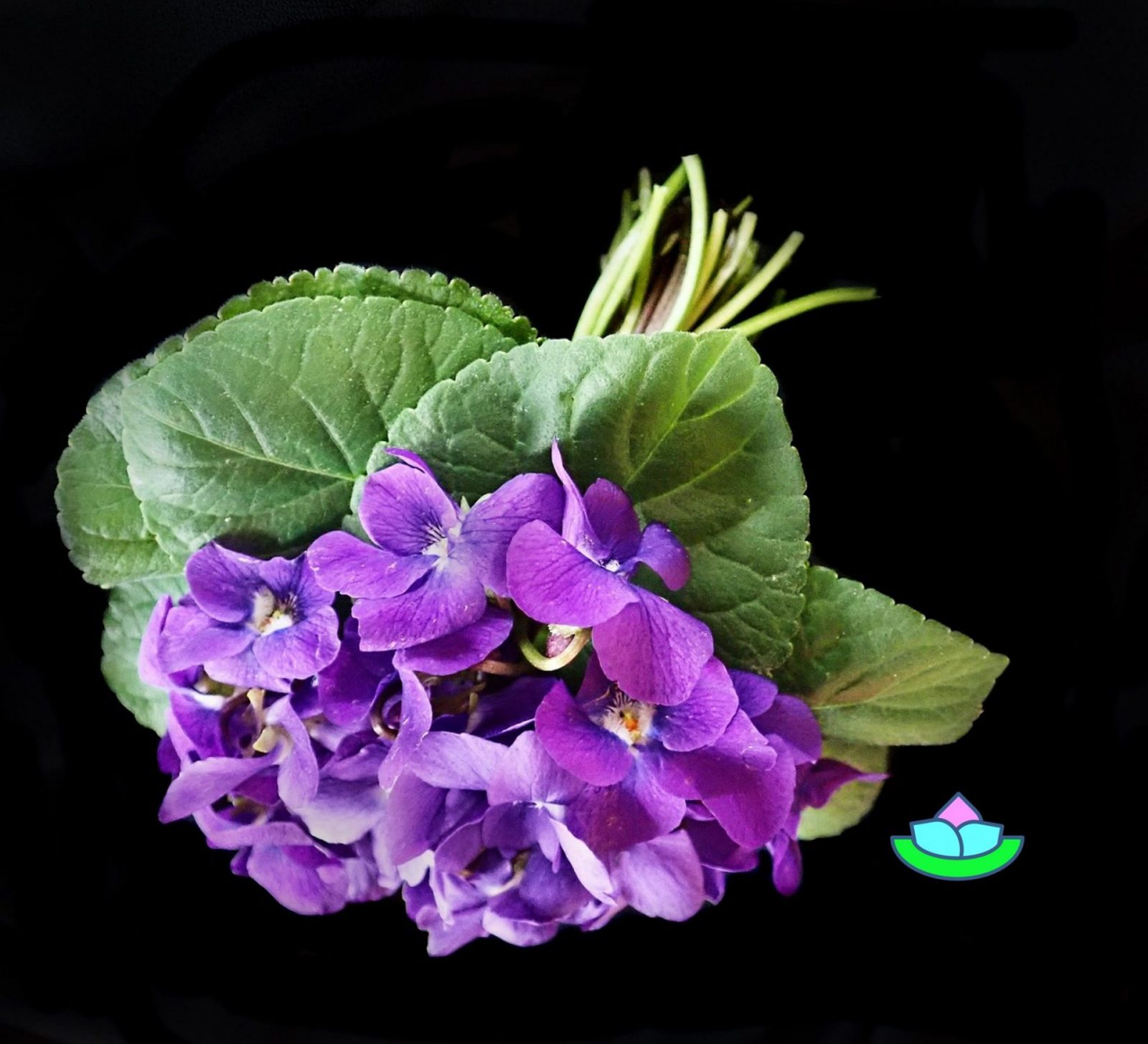 434067437_718882683779226_445590208459367027_n