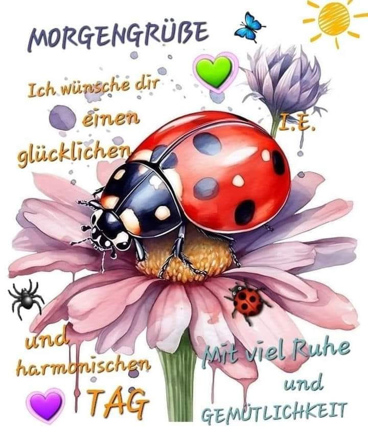 434121713_1214694569695018_5188376923321494796_n