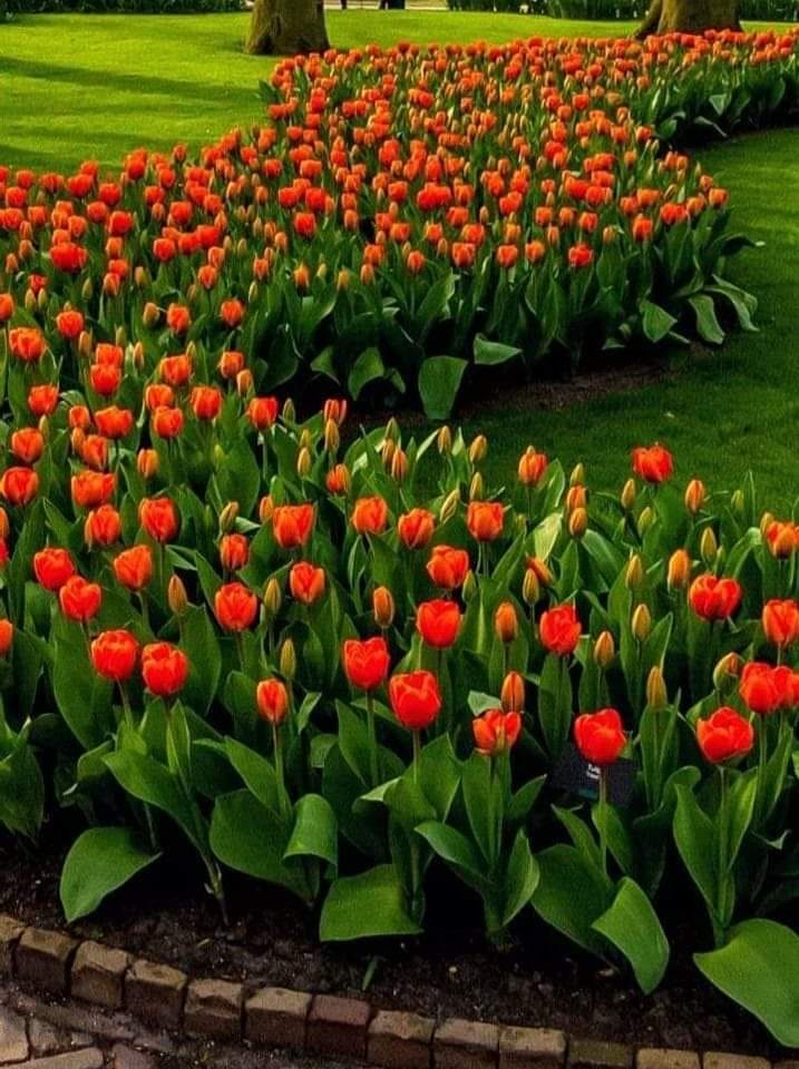 434173118_24959894900321647_206765412596739822_n