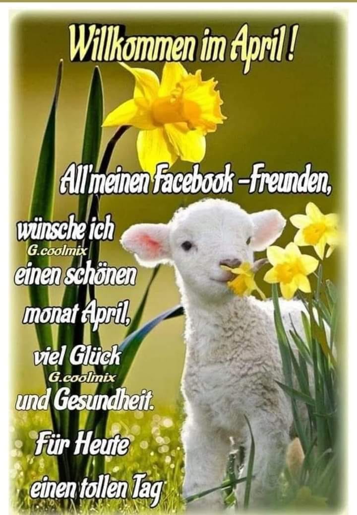 434330560_1402794014448290_1863339094365556925_n