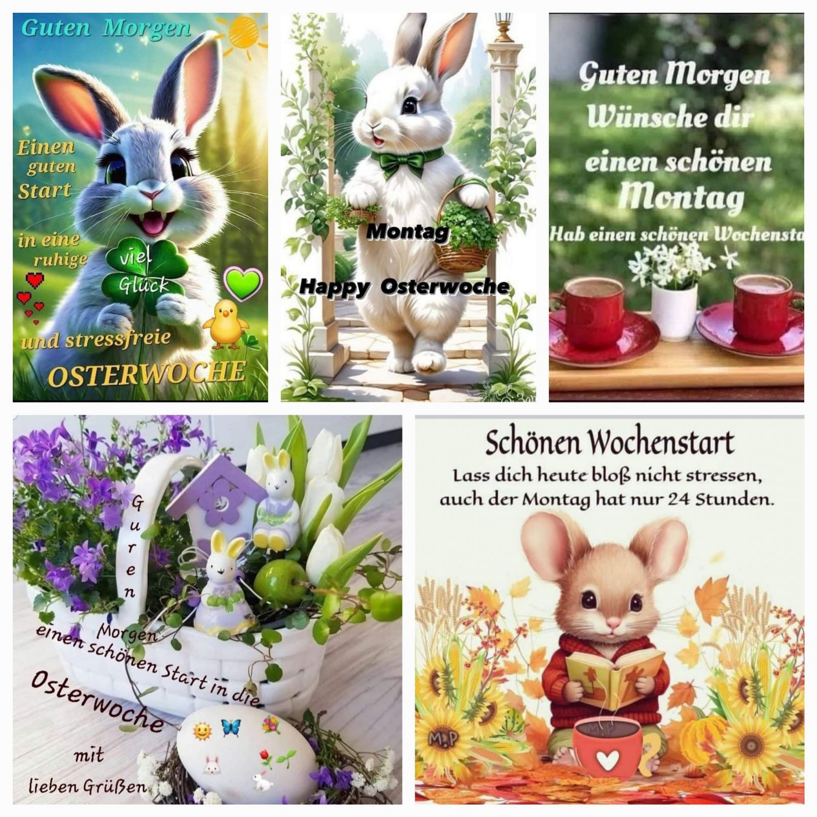 434355721_254572391059294_1753024490145837457_n