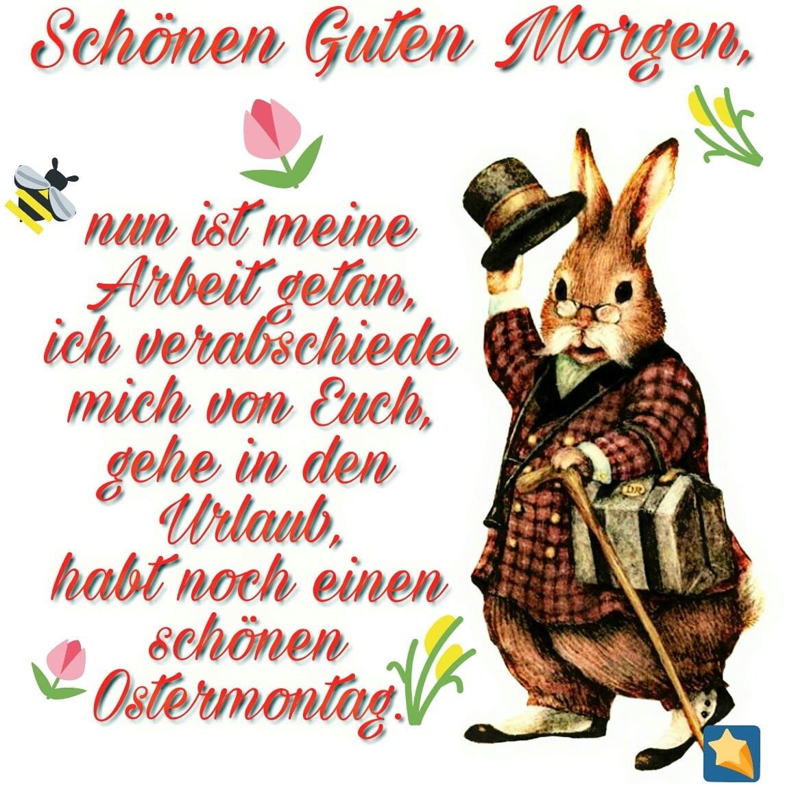 434388420_7448676441891897_3697783133503310846_n