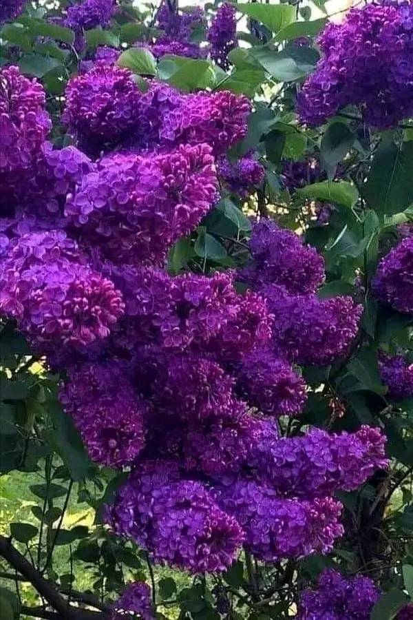 434428468_939714944303966_2068295854348357108_n (1)