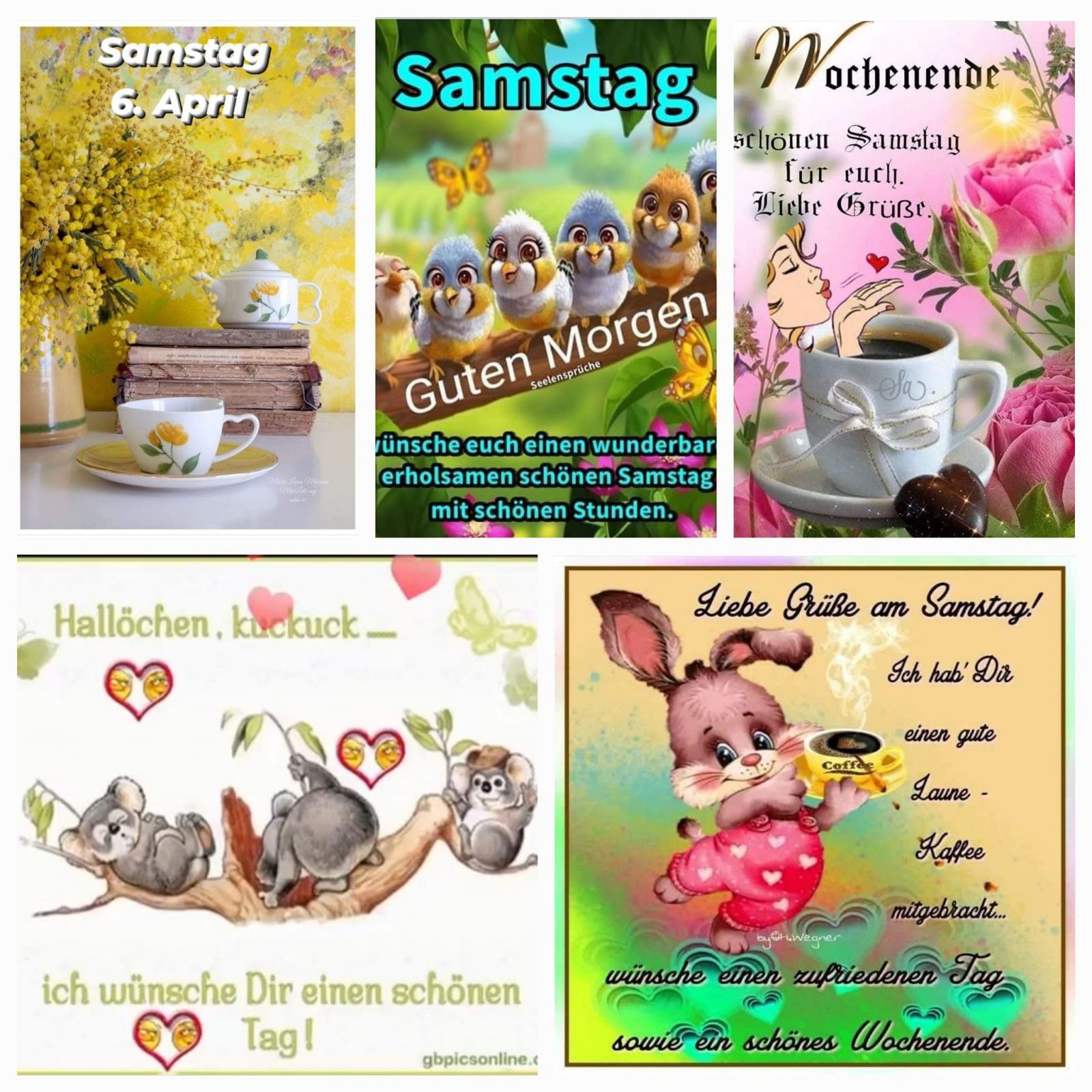 435751503_261955040321029_2525646287048337657_n (2)