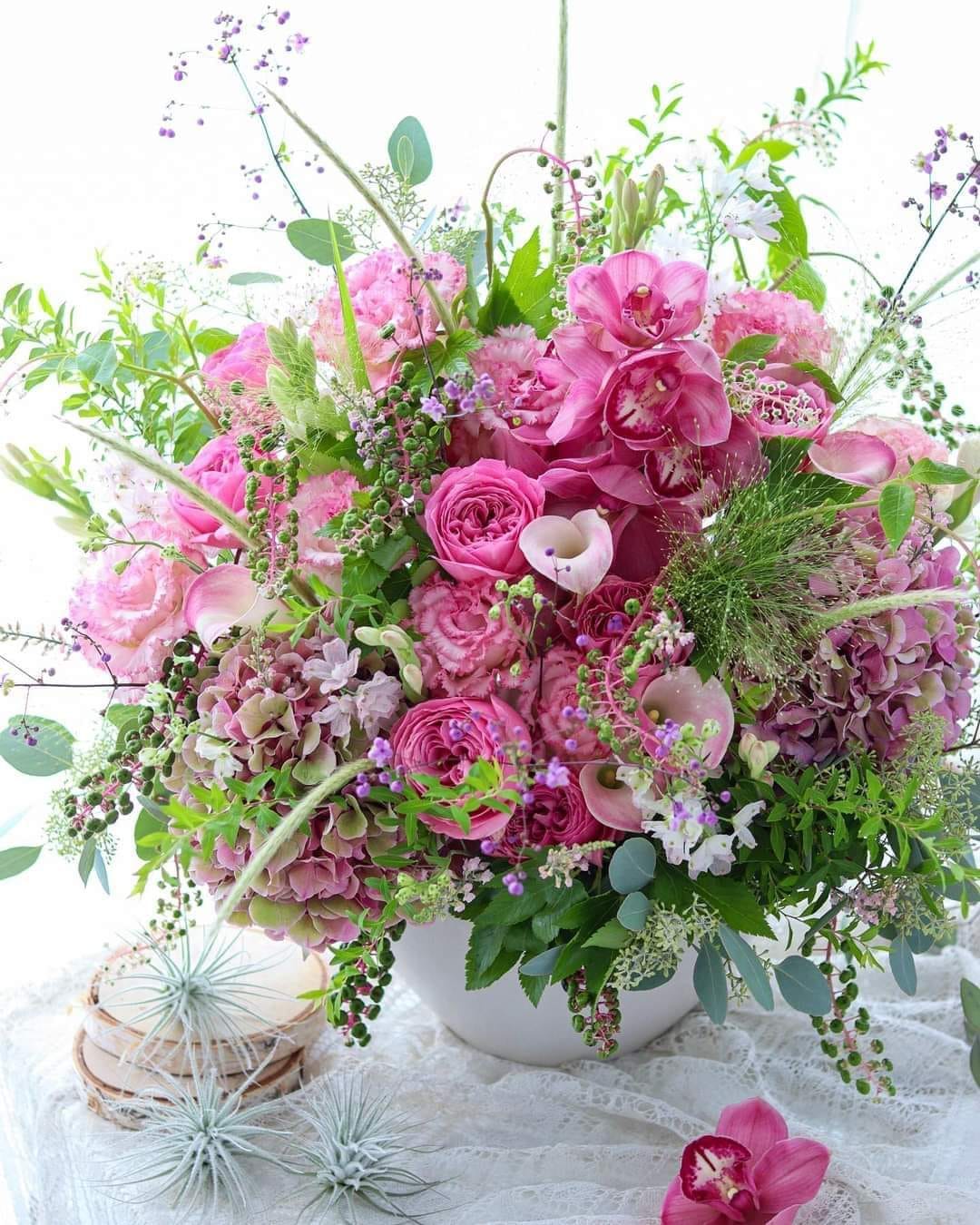 436237259_3777758419105030_6071145819489863053_n