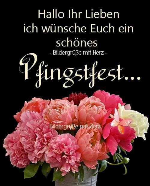 436299242_122191164320006300_4365634021563804173_n