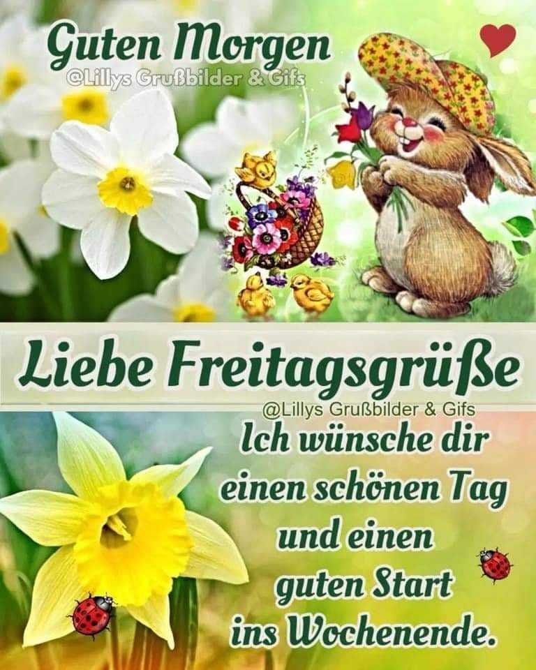 436302724_2131400060551678_4146219184334884586_n