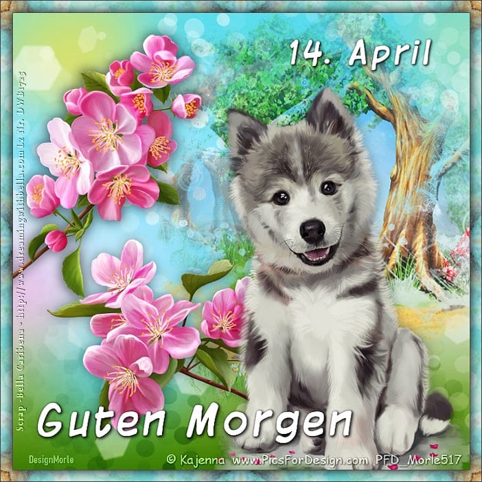 436334892_7442910519133792_4330967520289206319_n (2)