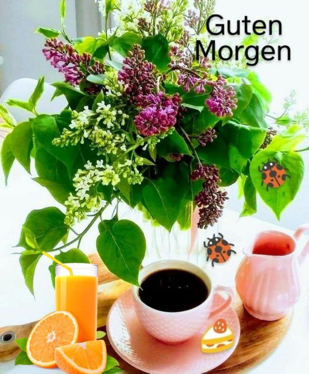 436410887_7535818996499750_1505848947807305518_n