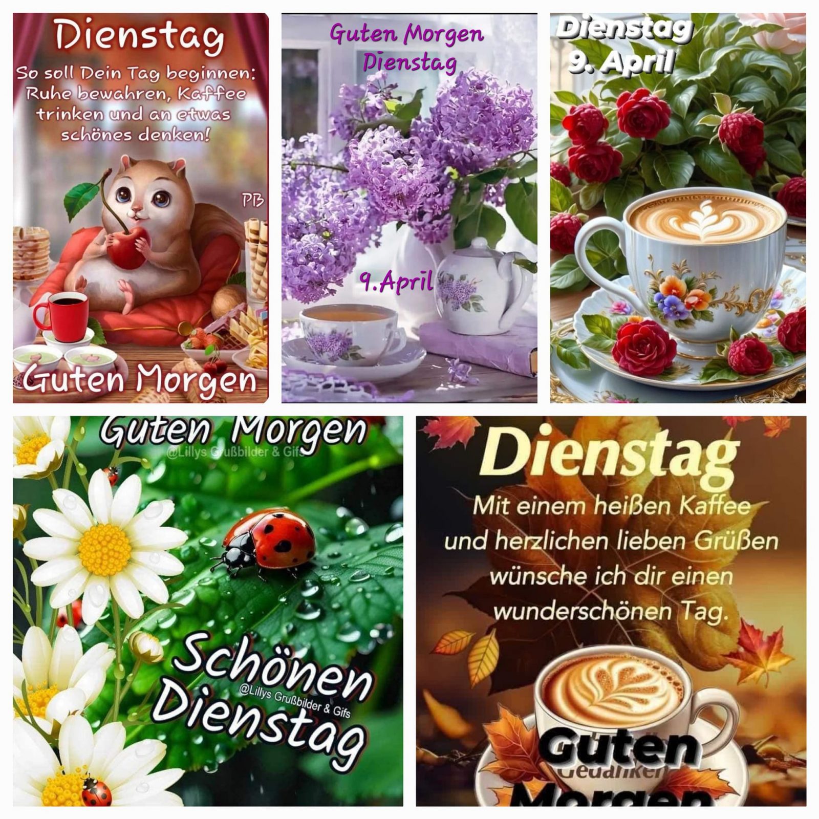 436447039_263620680154465_6547821870424358725_n (2)