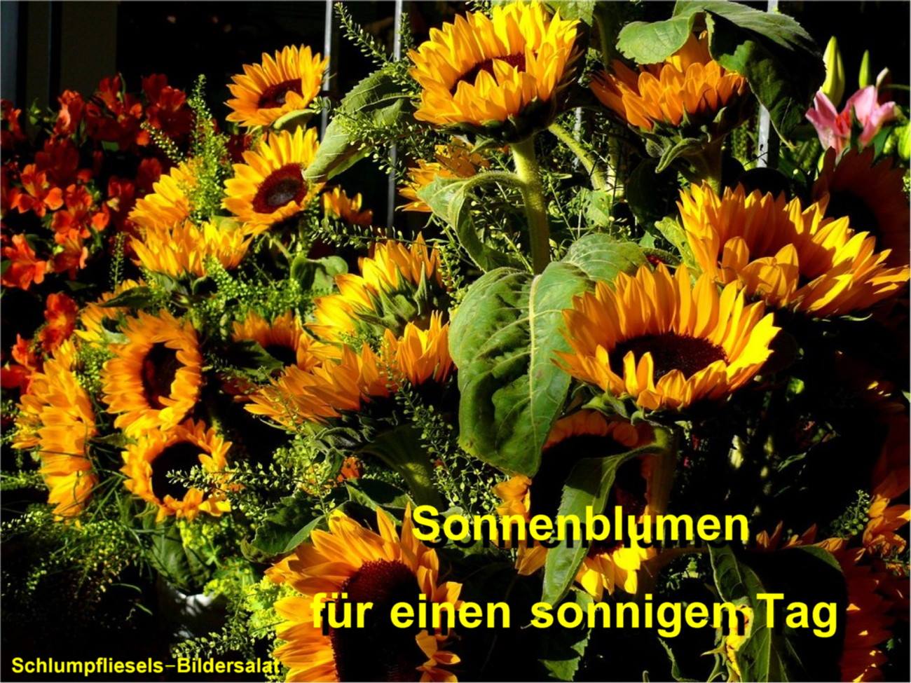 437608984_965190448309218_2182279561264373424_n