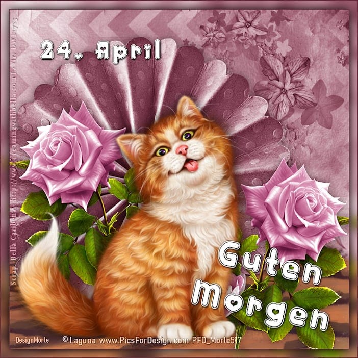 437652289_7485426911548819_6447558553550071649_n