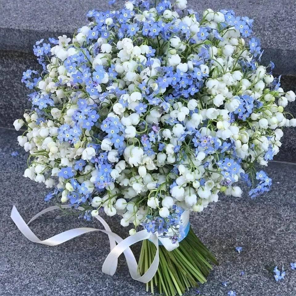 437724974_938440854952116_710089338901221959_n