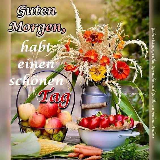 437755270_1842431139900696_420494742833942964_n