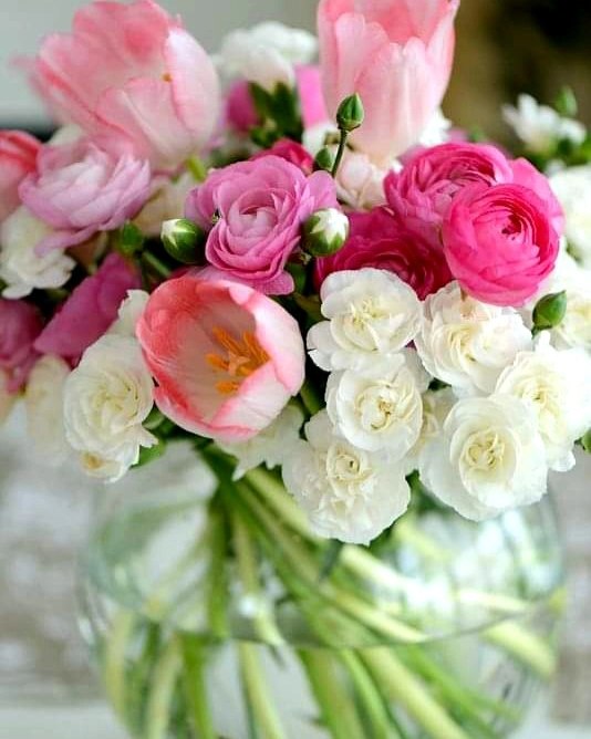 438101433_3785906988290173_7826655375611125480_n