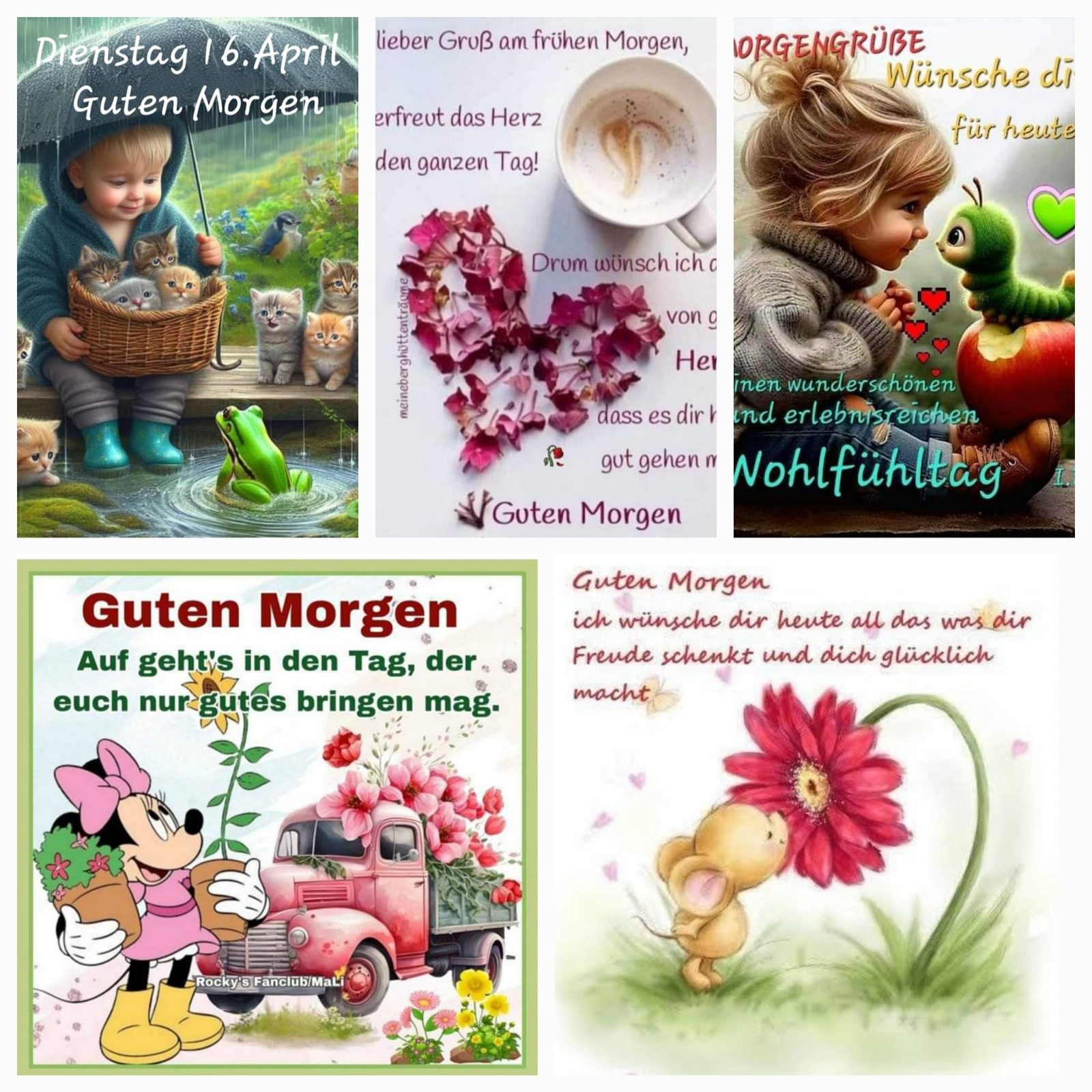 438691694_267894716393728_446926290583128626_n