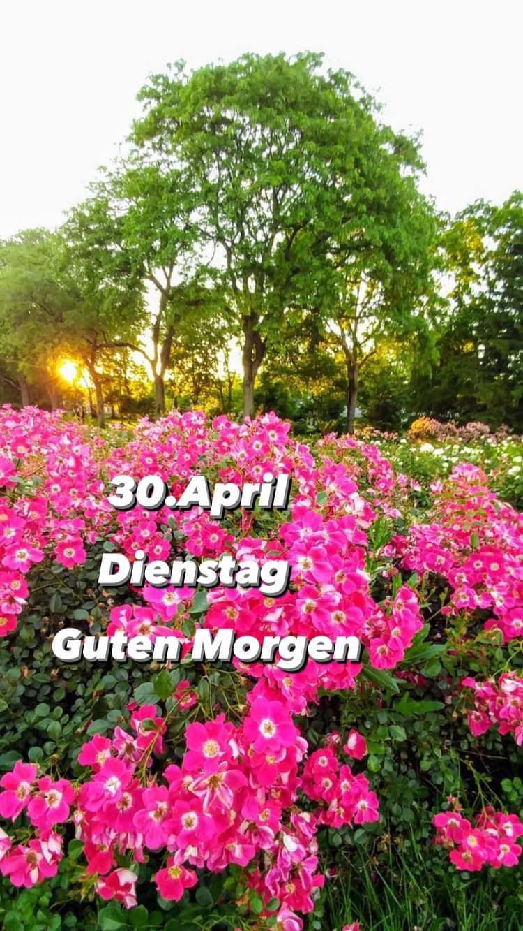 439196852_748707600767370_3805356818818769850_n (2)