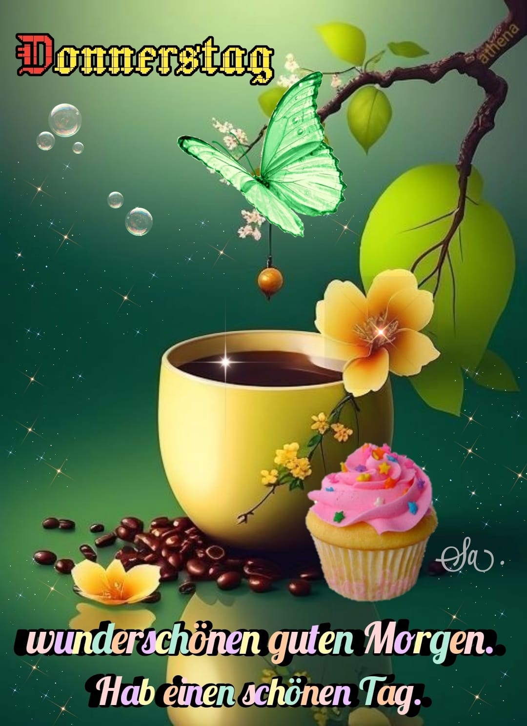 439246324_3693279937610147_3336376464161881184_n