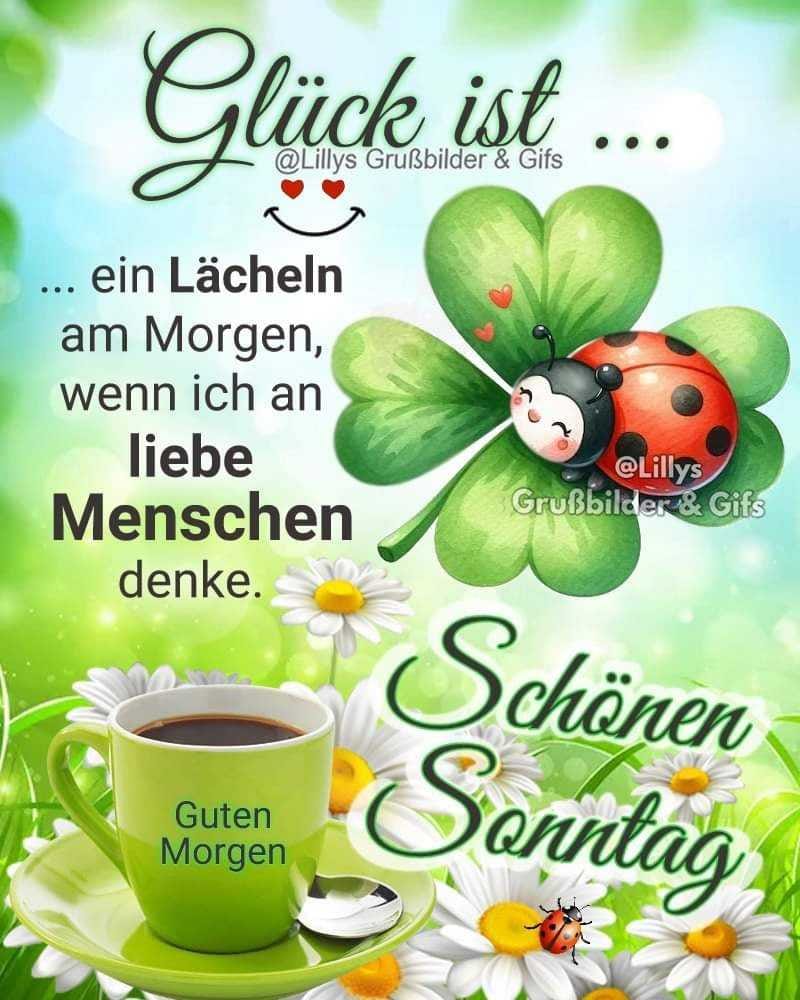 439593942_2137278396630511_4355394781874182993_n