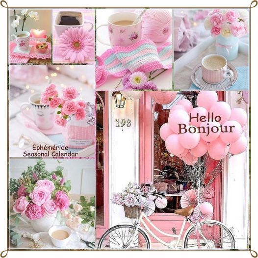 439849526_863814642447506_2966762674736079333_n