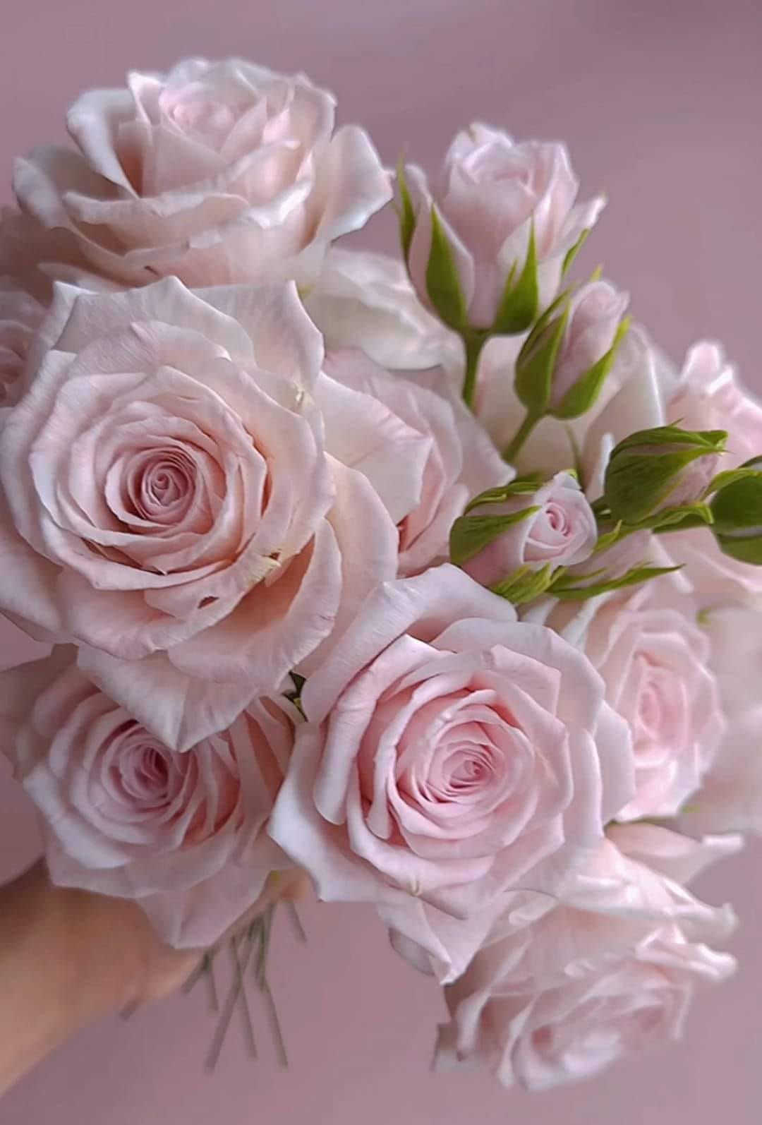 439856432_3786184821595723_3963874575745603719_n